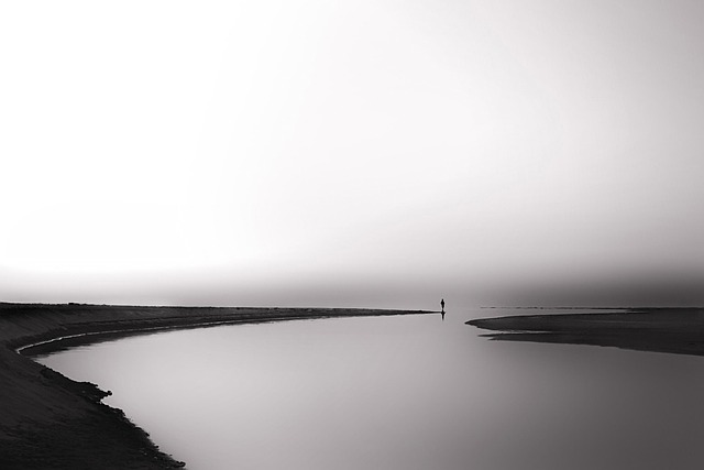 Ulica Mokotowska w Warszawie, widok na kamienice i zielone drzewa w centrum miasta